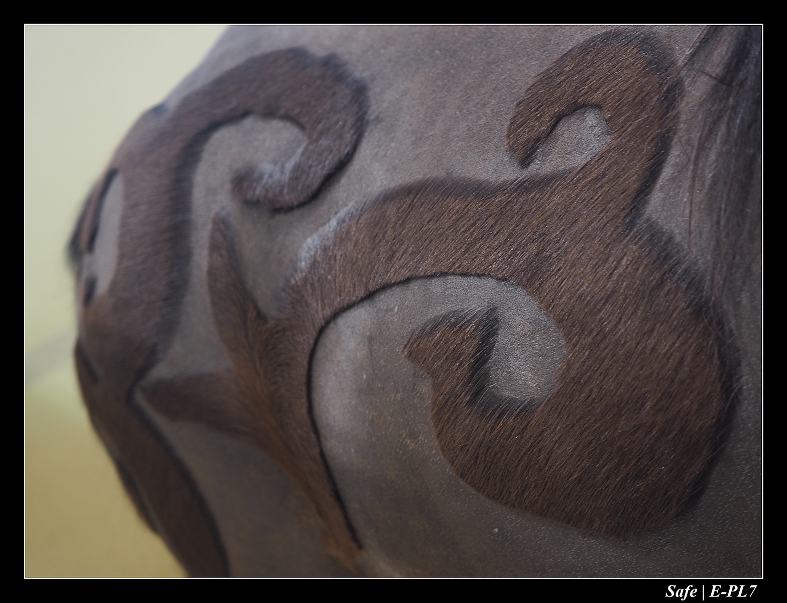 2020 - 02 - Salon agriculture 10